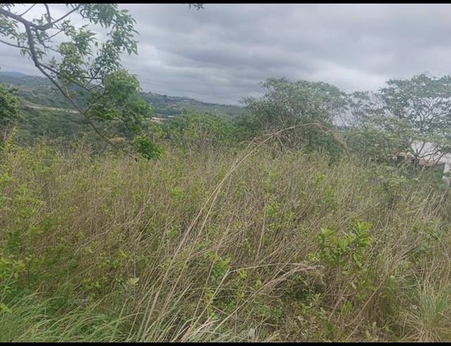 LAND FOR SALE IN LOVU